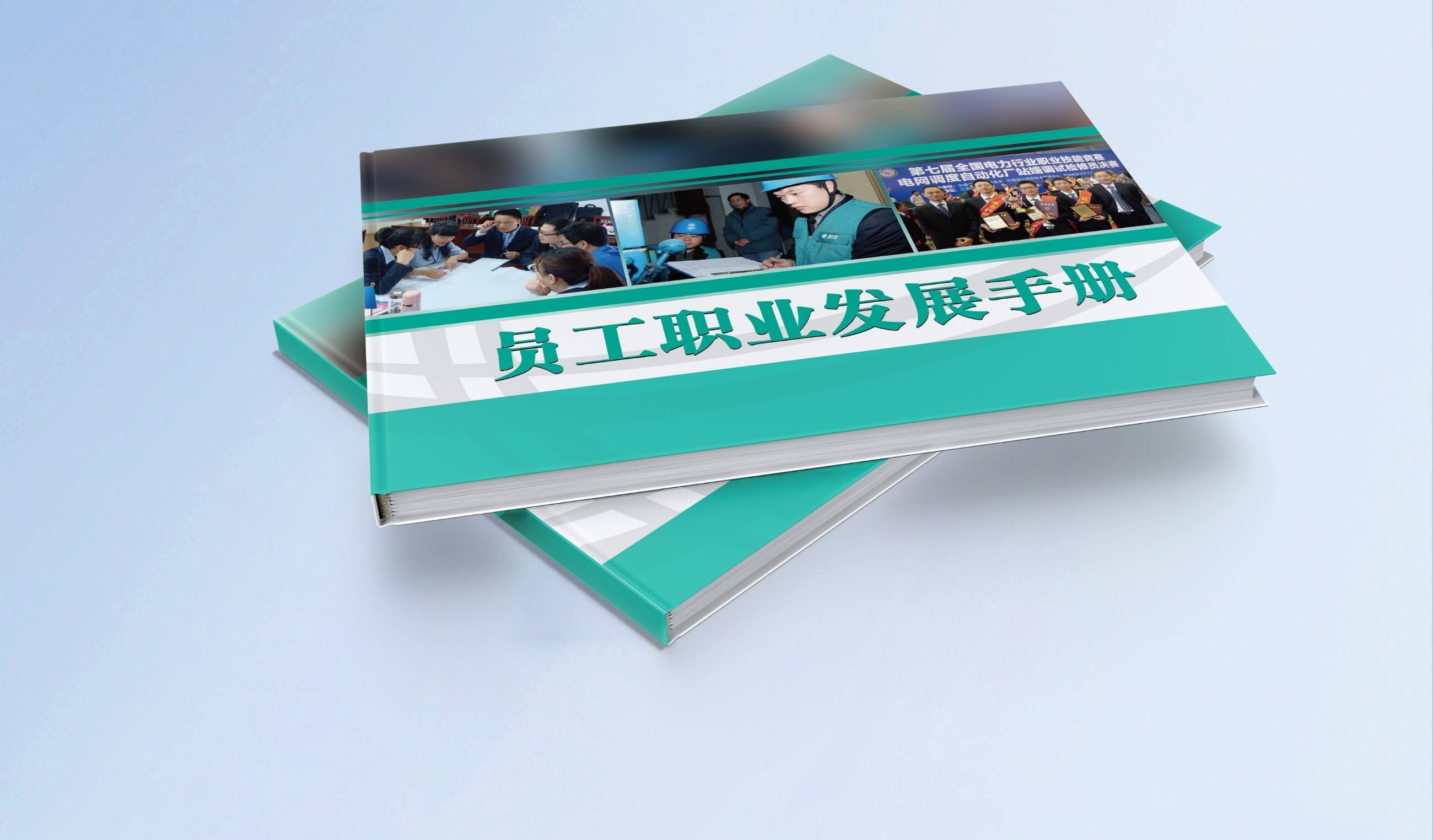 国网浙江省电力公司《员工职业发展手册》开发项目